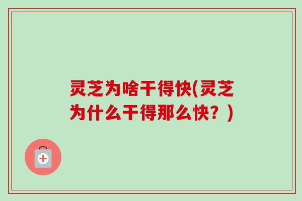 灵芝为啥干得快(灵芝为什么干得那么快?) 灵芝为啥干得快(灵芝为什么干得那么快?)