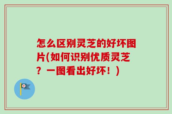 怎么区别灵芝的好坏图片(如何识别优质灵芝?一图看出好坏!) 怎么区别灵芝的好坏图片(如何识别优质灵芝?一图看出好坏!)