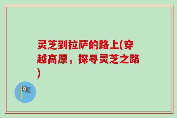 灵芝到拉萨的路上(穿越高原,探寻灵芝之路) 灵芝到拉萨的路上(穿越高原,探寻灵芝之路)