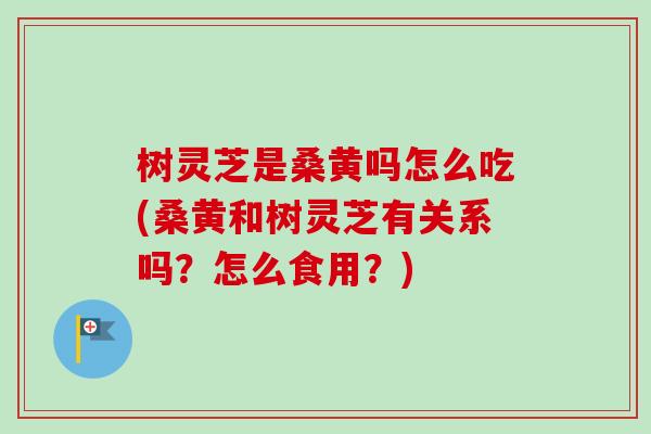 树灵芝是桑黄吗怎么吃(桑黄和树灵芝有关系吗?怎么食用?) 树灵芝是桑黄吗怎么吃(桑黄和树灵芝有关系吗?怎么食用?)