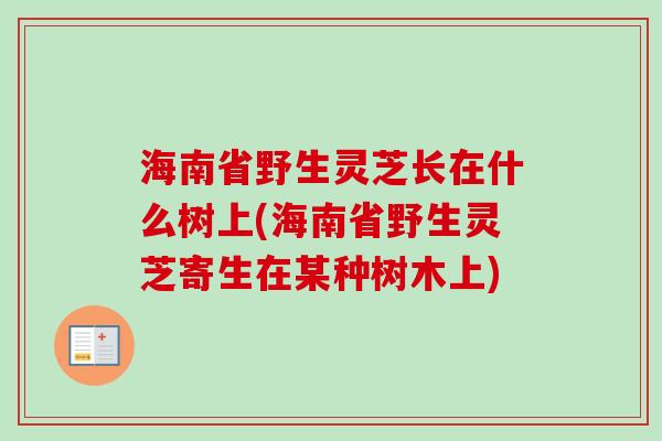 海南省野生灵芝长在什么树上(海南省野生灵芝寄生在某种树木上)