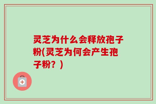 灵芝为什么会释放孢子粉(灵芝为何会产生孢子粉?) 灵芝为什么会释放孢子粉(灵芝为何会产生孢子粉?)