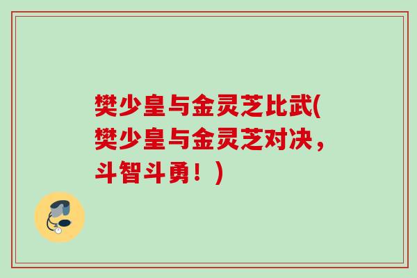 樊少皇与金灵芝比武(樊少皇与金灵芝对决，斗智斗勇！)