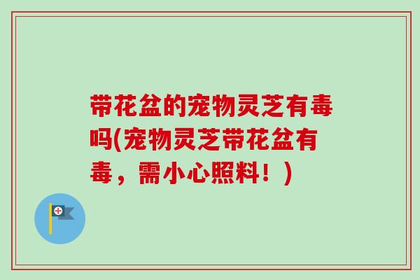 带花盆的宠物灵芝有毒吗(宠物灵芝带花盆有毒,需小心照料!) 带花盆的宠物灵芝有毒吗(宠物灵芝带花盆有毒,需小心照料!)