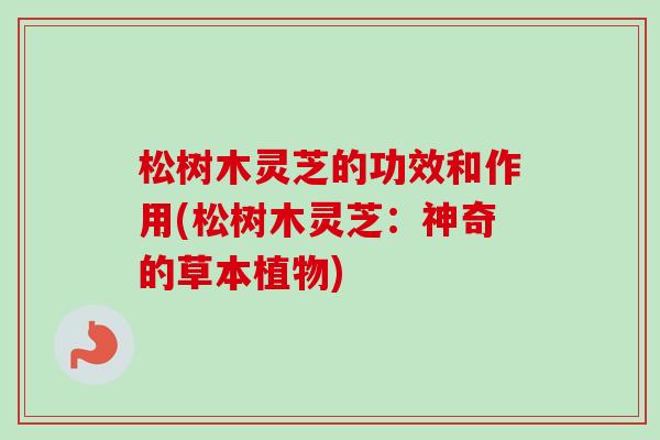 松树木灵芝的功效和作用(松树木灵芝:神奇的草本植物) 松树木灵芝的功效和作用(松树木灵芝:神奇的草本植物)