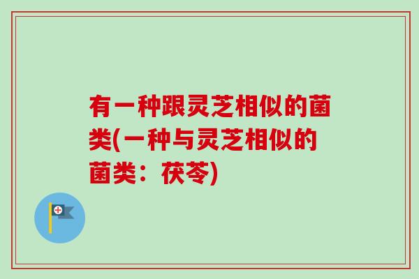 有一种跟灵芝相似的菌类(一种与灵芝相似的菌类:茯苓) 有一种跟灵芝相似的菌类(一种与灵芝相似的菌类:茯苓)