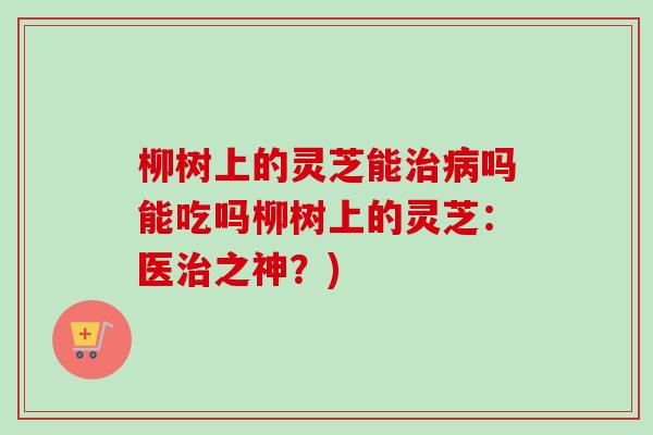 柳树上的灵芝能吗能吃吗柳树上的灵芝:医之神?) 柳树上的灵芝能吗能吃吗柳树上的灵芝:医之神?)