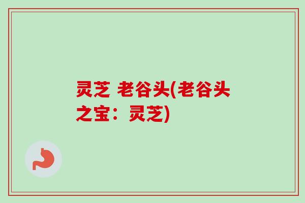 灵芝 老谷头(老谷头之宝:灵芝) 灵芝 老谷头(老谷头之宝:灵芝)
