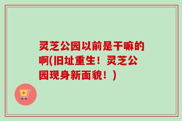 灵芝公园以前是干嘛的啊(旧址重生！灵芝公园现身新面貌！)