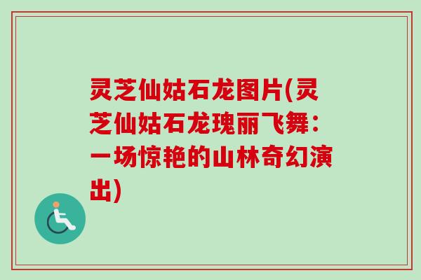 灵芝仙姑石龙图片(灵芝仙姑石龙瑰丽飞舞：一场惊艳的山林奇幻演出)
