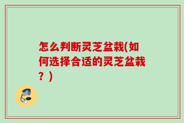 怎么判断灵芝盆栽(如何选择合适的灵芝盆栽？)