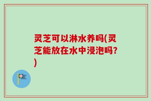 灵芝可以淋水养吗(灵芝能放在水中浸泡吗?) 灵芝可以淋水养吗(灵芝能放在水中浸泡吗?)