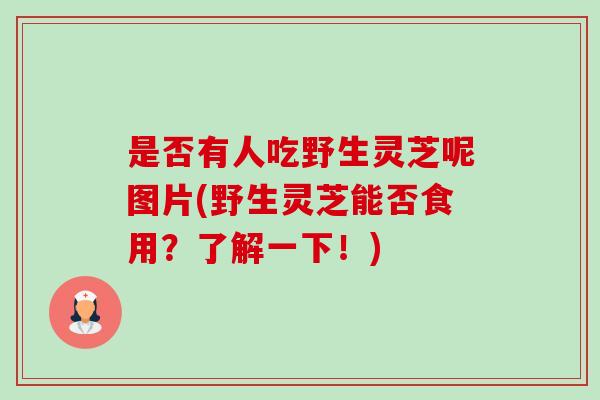 是否有人吃野生灵芝呢图片(野生灵芝能否食用?了解一下!) 是否有人吃野生灵芝呢图片(野生灵芝能否食用?了解一下!)