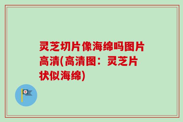 灵芝切片像海绵吗图片高清(高清图：灵芝片状似海绵)