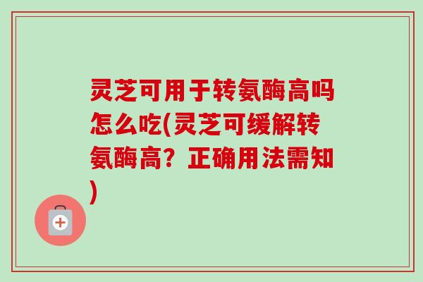 灵芝可用于转氨酶高吗怎么吃(灵芝可缓解转氨酶高?正确用法需知) 灵芝可用于转氨酶高吗怎么吃(灵芝可缓解转氨酶高?正确用法需知)