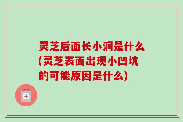 灵芝后面长小洞是什么(灵芝表面出现小凹坑的可能原因是什么) 灵芝后面长小洞是什么(灵芝表面出现小凹坑的可能原因是什么)
