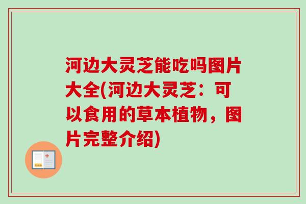 河边大灵芝能吃吗图片大全(河边大灵芝：可以食用的草本植物，图片完整介绍)