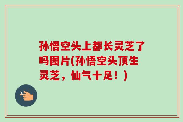 孙悟空头上都长灵芝了吗图片(孙悟空头顶生灵芝,仙气十足!) 孙悟空头上都长灵芝了吗图片(孙悟空头顶生灵芝,仙气十足!)