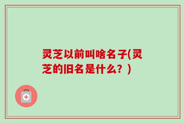 灵芝以前叫啥名子(灵芝的旧名是什么?) 灵芝以前叫啥名子(灵芝的旧名是什么?)