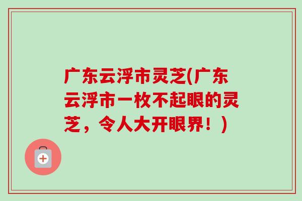 广东云浮市灵芝(广东云浮市一枚不起眼的灵芝,令人大开眼界!) 广东云浮市灵芝(广东云浮市一枚不起眼的灵芝,令人大开眼界!)