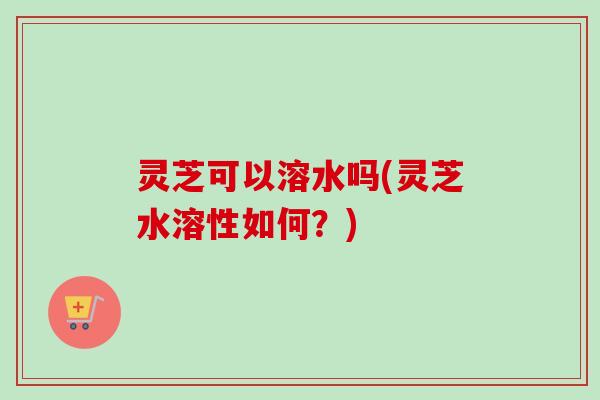 灵芝可以溶水吗(灵芝水溶性如何?) 灵芝可以溶水吗(灵芝水溶性如何?)
