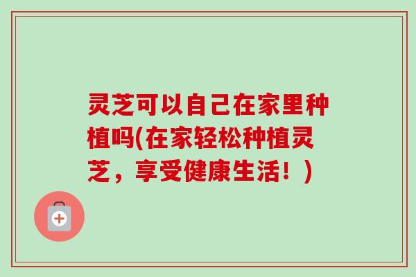灵芝可以自己在家里种植吗(在家轻松种植灵芝，享受健康生活！)