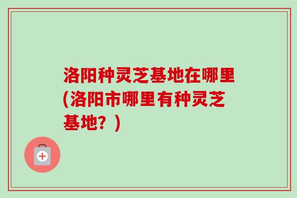 洛阳种灵芝基地在哪里(洛阳市哪里有种灵芝基地？)