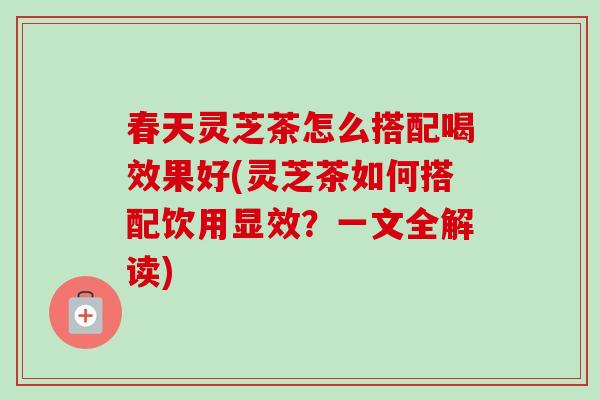 春天灵芝茶怎么搭配喝效果好(灵芝茶如何搭配饮用显效?一文全解读) 春天灵芝茶怎么搭配喝效果好(灵芝茶如何搭配饮用显效?一文全解读)