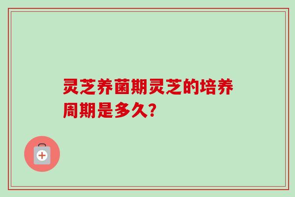 灵芝养菌期灵芝的培养周期是多久? 灵芝养菌期灵芝的培养周期是多久?