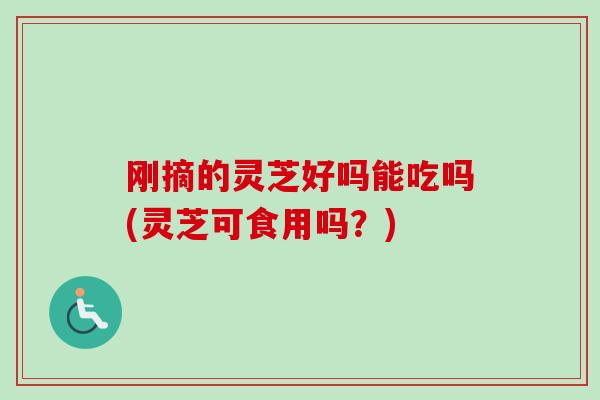 刚摘的灵芝好吗能吃吗(灵芝可食用吗？)