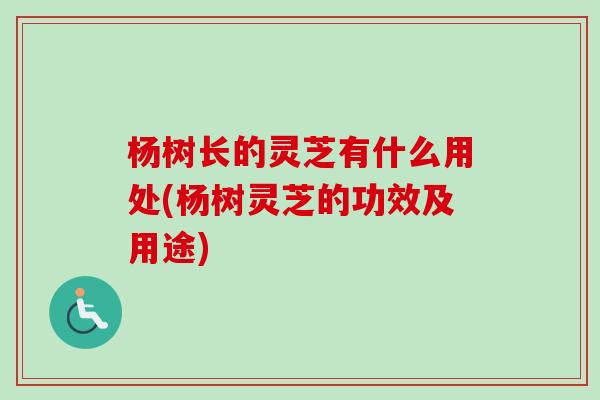杨树长的灵芝有什么用处(杨树灵芝的功效及用途) 杨树长的灵芝有什么用处(杨树灵芝的功效及用途)