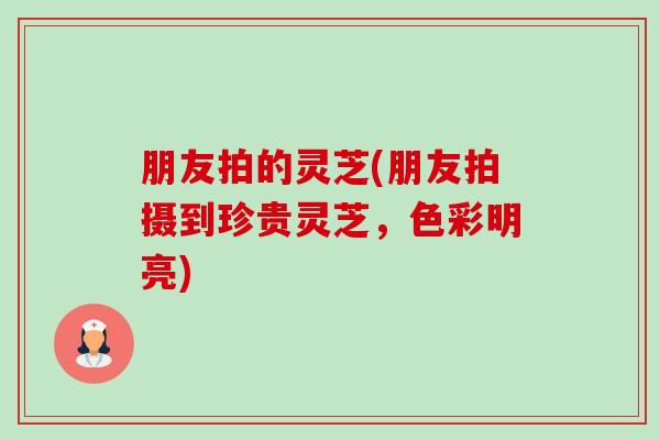 朋友拍的灵芝(朋友拍摄到珍贵灵芝，色彩明亮)