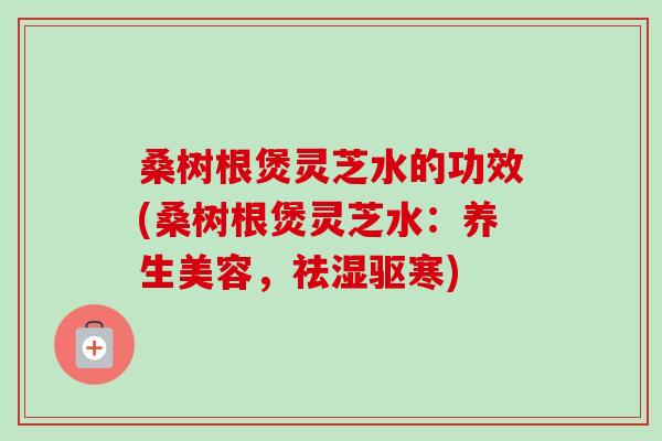 桑树根煲灵芝水的功效(桑树根煲灵芝水:养生美容,祛湿驱寒) 桑树根煲灵芝水的功效(桑树根煲灵芝水:养生美容,祛湿驱寒)