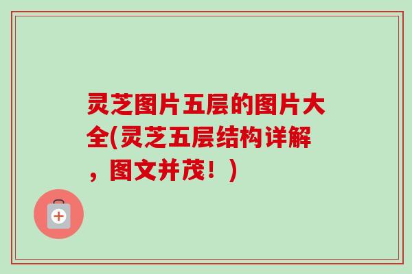 灵芝图片五层的图片大全(灵芝五层结构详解,图文并茂!) 灵芝图片五层的图片大全(灵芝五层结构详解,图文并茂!)