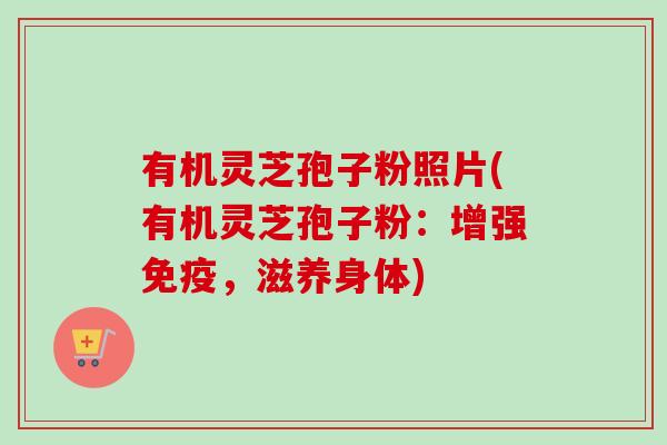 有机灵芝孢子粉照片(有机灵芝孢子粉:增强免疫,滋养身体) 有机灵芝孢子粉照片(有机灵芝孢子粉:增强免疫,滋养身体)
