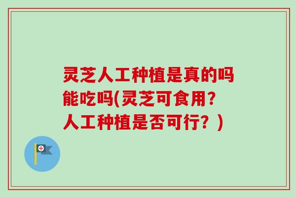 灵芝人工种植是真的吗能吃吗(灵芝可食用?人工种植是否可行?) 灵芝人工种植是真的吗能吃吗(灵芝可食用?人工种植是否可行?)