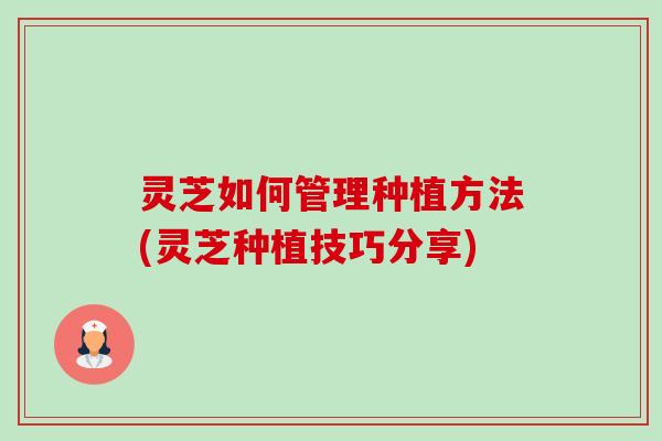 灵芝如何管理种植方法(灵芝种植技巧分享)