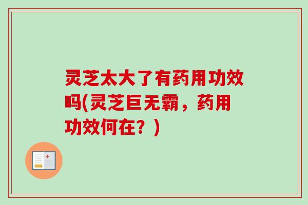 灵芝太大了有药用功效吗(灵芝巨无霸,药用功效何在?) 灵芝太大了有药用功效吗(灵芝巨无霸,药用功效何在?)
