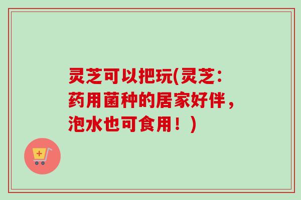 灵芝可以把玩(灵芝：药用菌种的居家好伴，泡水也可食用！)