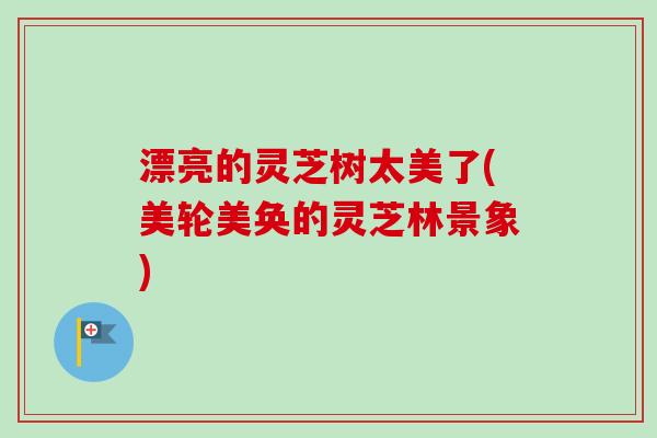 漂亮的灵芝树太美了(美轮美奂的灵芝林景象)