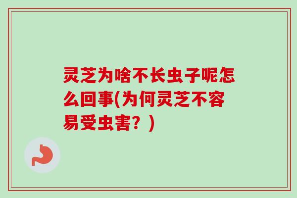灵芝为啥不长虫子呢怎么回事(为何灵芝不容易受虫害？)