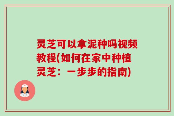 灵芝可以拿泥种吗视频教程(如何在家中种植灵芝:一步步的指南) 灵芝可以拿泥种吗视频教程(如何在家中种植灵芝:一步步的指南)