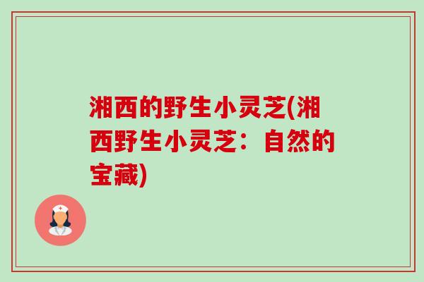 湘西的野生小灵芝(湘西野生小灵芝:自然的宝藏) 湘西的野生小灵芝(湘西野生小灵芝:自然的宝藏)