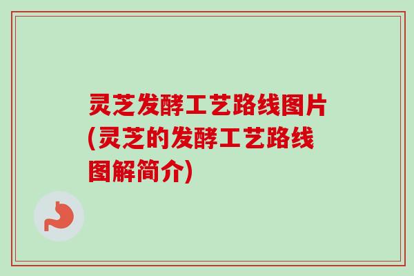 灵芝发酵工艺路线图片(灵芝的发酵工艺路线图解简介)