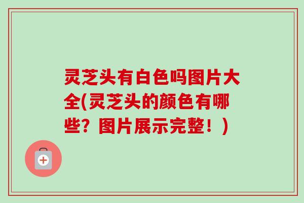 灵芝头有白色吗图片大全(灵芝头的颜色有哪些?图片展示完整!) 灵芝头有白色吗图片大全(灵芝头的颜色有哪些?图片展示完整!)