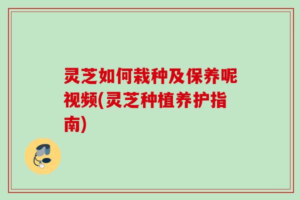 灵芝如何栽种及保养呢视频(灵芝种植养护指南) 灵芝如何栽种及保养呢视频(灵芝种植养护指南)