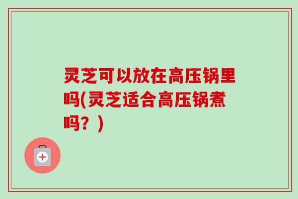 灵芝可以放在高压锅里吗(灵芝适合高压锅煮吗？)