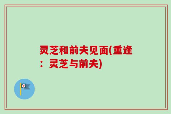 灵芝和前夫见面(重逢:灵芝与前夫) 灵芝和前夫见面(重逢:灵芝与前夫)