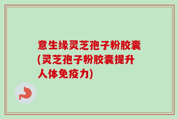意生缘灵芝孢子粉胶囊(灵芝孢子粉胶囊提升人体免疫力) 意生缘灵芝孢子粉胶囊(灵芝孢子粉胶囊提升人体免疫力)