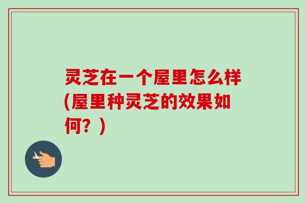 灵芝在一个屋里怎么样(屋里种灵芝的效果如何？)